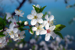 Загадки о весне